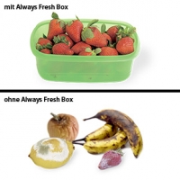 Always Fresh Box