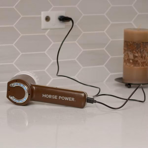 Horsepower Scrubber Pro elektrische Reinigungsbürste mit Akku & Rotation inkl. Zubehör gratis