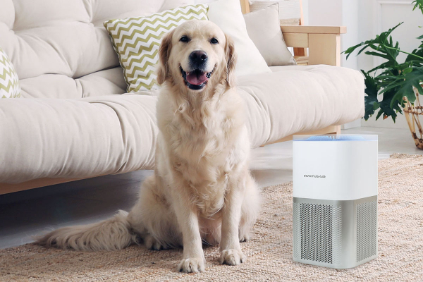 INVICTUS Air P5 Luftreiniger - 6-fache purifying Technologie