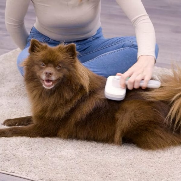 PiddiPet IonBrush Ionen Tierhaarbürste 1+1 Gratis