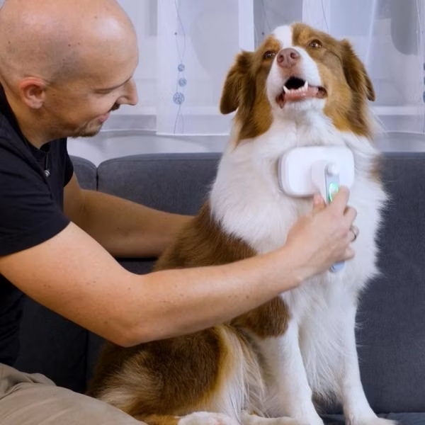 PiddiPet IonBrush Ionen Tierhaarbürste 1+1 Gratis