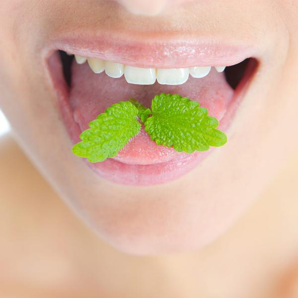 Revodent Set Spezialpaste 4-Fach-Wirkung für Mundhygiene