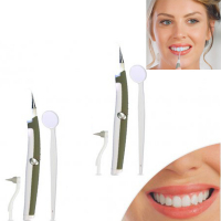 DentaPic Sonic shiny white teeth 1+1 free