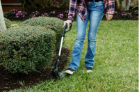 Hammersmith Bionic Trimmer