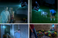 Panta Safe Light Solar LED Licht mit Bewegungssensor