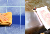 Grease Police - Wunder gegen Fett und Schmutz