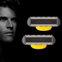 Têtes de rasoir de rechange MicroTouch Titanium Solo