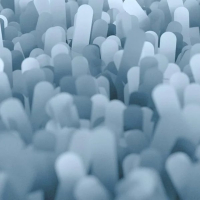 Livington Clean Water Spin Mop pads microfibre 2 pièces