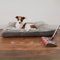 Livington Voom kabelloser Turbo-Akku-Besen