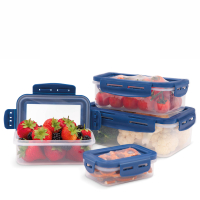 Livington Flex&Fresh Frischhaltedosen 4er-Set