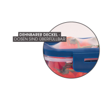 Livington Flex&Fresh Frischhaltedosen 4er-Set