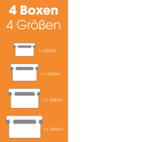 Livington Flex&Fresh Frischhaltedosen 4er-Set