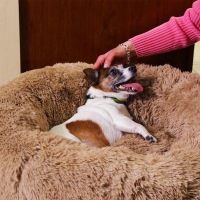 Peaceful Pooch Luxus Hunde- und Katzenbett + Fur Daddy Deluxe Akku-Tierhaarentferner-Bürste