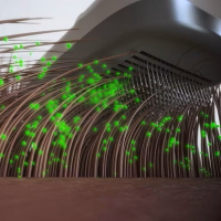 La brosse ionique originale PiddiPet IonBrush pour poils danimaux – 1 + 1 Gratuit